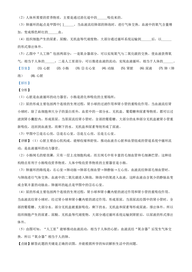 精品解析：山东省德州市2020中考生物试题（解析版）_中考真题_8.生物中考真题2015-2024年_2020生物真题74份_2020年中考真题精品解析生物（山东德州卷）精编word版