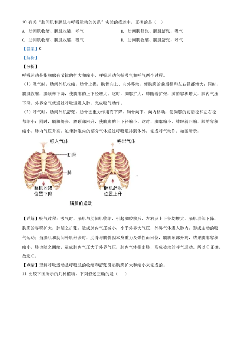 精品解析：山东省德州市2020中考生物试题（解析版）_中考真题_8.生物中考真题2015-2024年_2020生物真题74份_2020年中考真题精品解析生物（山东德州卷）精编word版