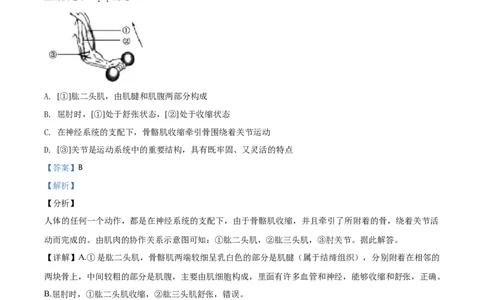 精品解析：山东省德州市2020中考生物试题（解析版）_中考真题_8.生物中考真题2015-2024年_2020生物真题74份_2020年中考真题精品解析生物（山东德州卷）精编word版