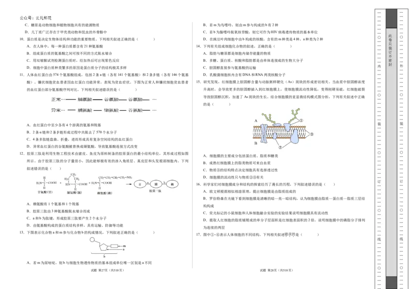 高一生物期中模拟卷测试范围：第1~4章（考试版A3）（新八省通用）_1多考区联考试卷_1014高一期中模拟卷（新八省专用）黄金卷：2024-2025学年高一上学期期中模拟考试