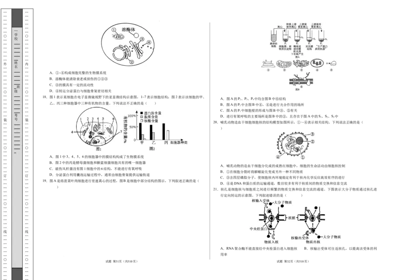 高一生物期中模拟卷测试范围：第1~4章（考试版A3）（新八省通用）_1多考区联考试卷_1014高一期中模拟卷（新八省专用）黄金卷：2024-2025学年高一上学期期中模拟考试
