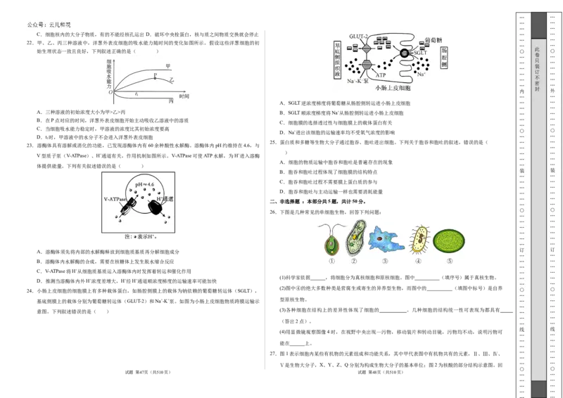 高一生物期中模拟卷测试范围：第1~4章（考试版A3）（新八省通用）_1多考区联考试卷_1014高一期中模拟卷（新八省专用）黄金卷：2024-2025学年高一上学期期中模拟考试