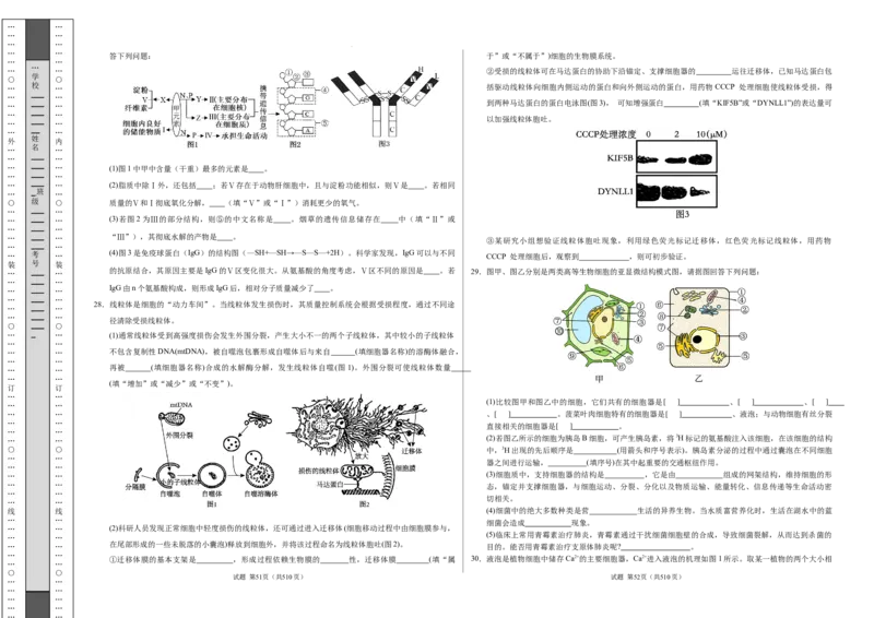 高一生物期中模拟卷测试范围：第1~4章（考试版A3）（新八省通用）_1多考区联考试卷_1014高一期中模拟卷（新八省专用）黄金卷：2024-2025学年高一上学期期中模拟考试
