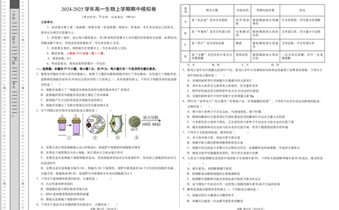 高一生物期中模拟卷测试范围：第1~4章（考试版A3）（新八省通用）_1多考区联考试卷_1014高一期中模拟卷（新八省专用）黄金卷：2024-2025学年高一上学期期中模拟考试
