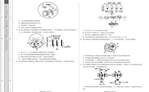 高一生物期中模拟卷测试范围：第1~4章（考试版A3）（新八省通用）_1多考区联考试卷_1014高一期中模拟卷（新八省专用）黄金卷：2024-2025学年高一上学期期中模拟考试