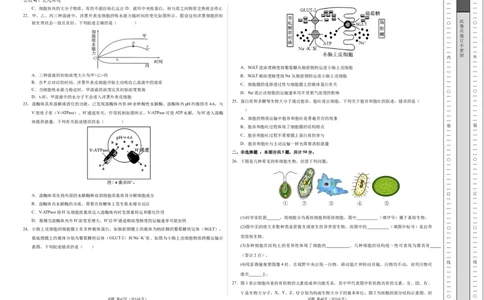 高一生物期中模拟卷测试范围：第1~4章（考试版A3）（新八省通用）_1多考区联考试卷_1014高一期中模拟卷（新八省专用）黄金卷：2024-2025学年高一上学期期中模拟考试