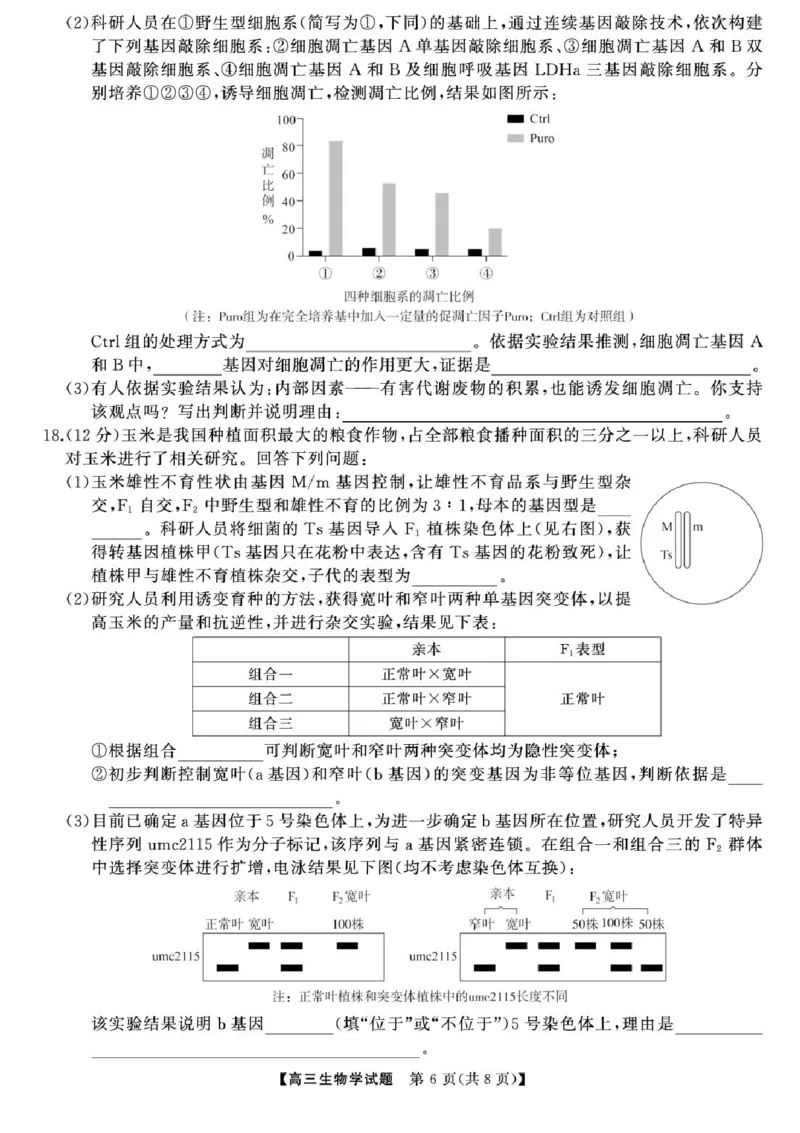 2025届湖南高三天壹冲刺压轴大联考生物试题_2025年5月_2505282025届湖南高三天壹冲刺压轴大联考（全科）