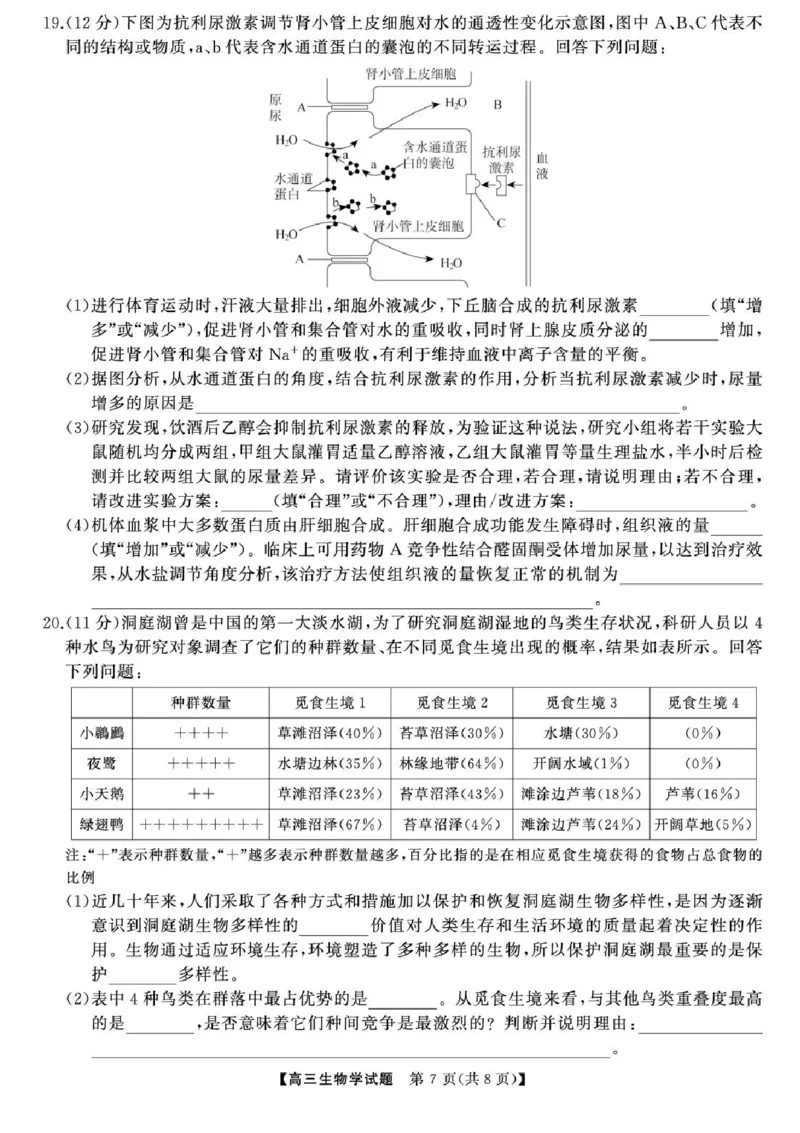 2025届湖南高三天壹冲刺压轴大联考生物试题_2025年5月_2505282025届湖南高三天壹冲刺压轴大联考（全科）