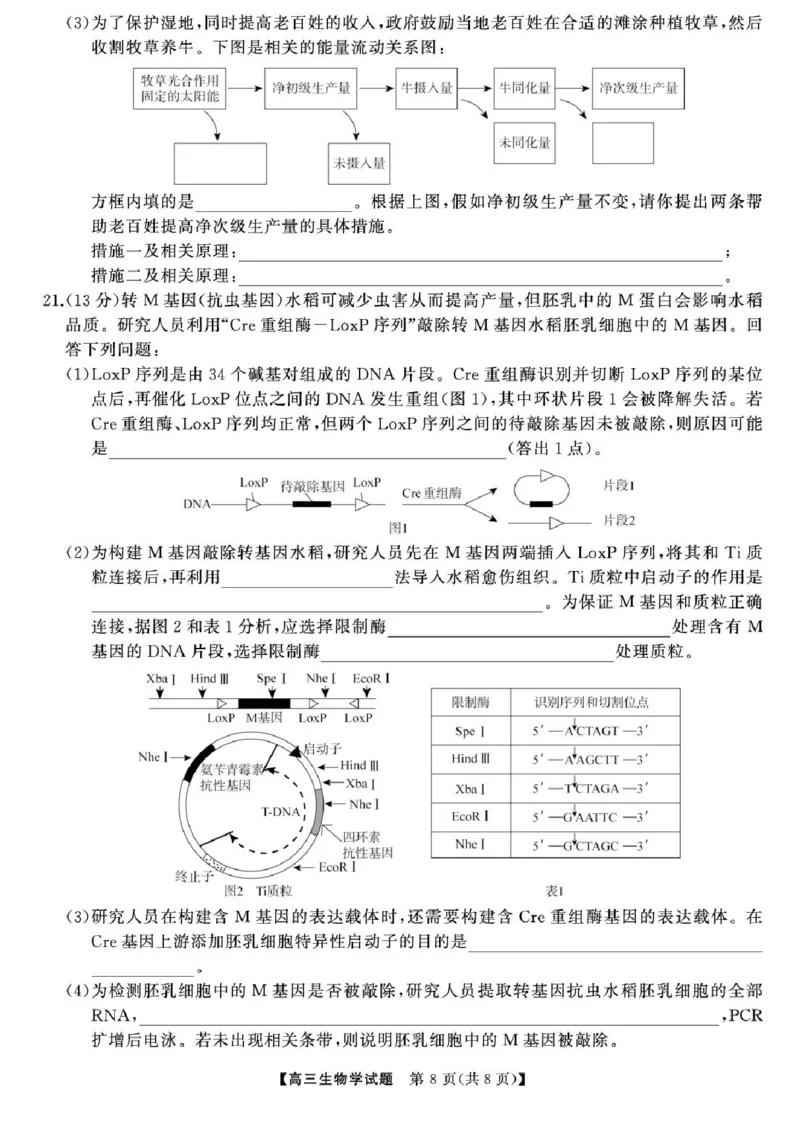 2025届湖南高三天壹冲刺压轴大联考生物试题_2025年5月_2505282025届湖南高三天壹冲刺压轴大联考（全科）