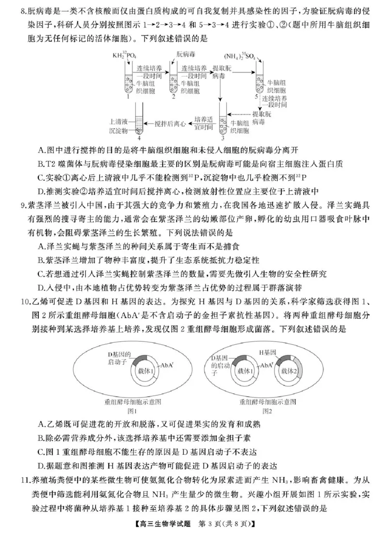 2025届湖南高三天壹冲刺压轴大联考生物试题_2025年5月_2505282025届湖南高三天壹冲刺压轴大联考（全科）