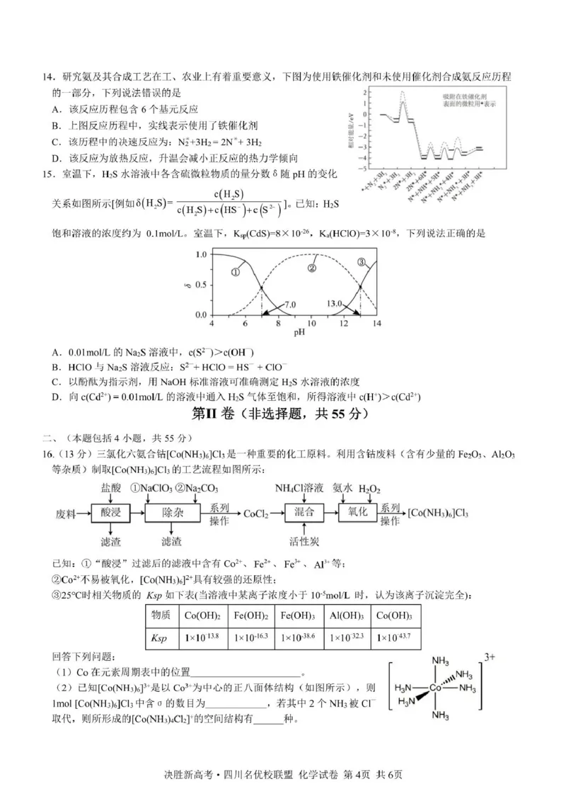 决胜新高考&middot;四川名优校联盟2025届高三4月联考化学+答案_2025年4月_250403决胜新高考&middot;四川名优校联盟2025届高三4月联考