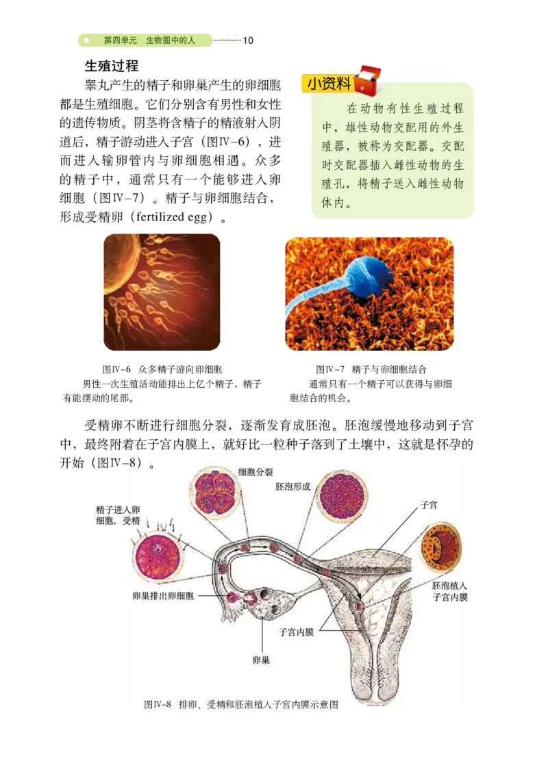 鲁教版7年级生物上册高清教材_4-教培资料-26年最新资料-同步更新_初中高中教资_03科三专项（进去保存报考的学科即可）_02科三专项（笔记真题思维导图教学设计版本二）