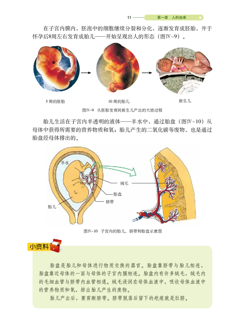 鲁教版7年级生物上册高清教材_4-教培资料-26年最新资料-同步更新_初中高中教资_03科三专项（进去保存报考的学科即可）_02科三专项（笔记真题思维导图教学设计版本二）