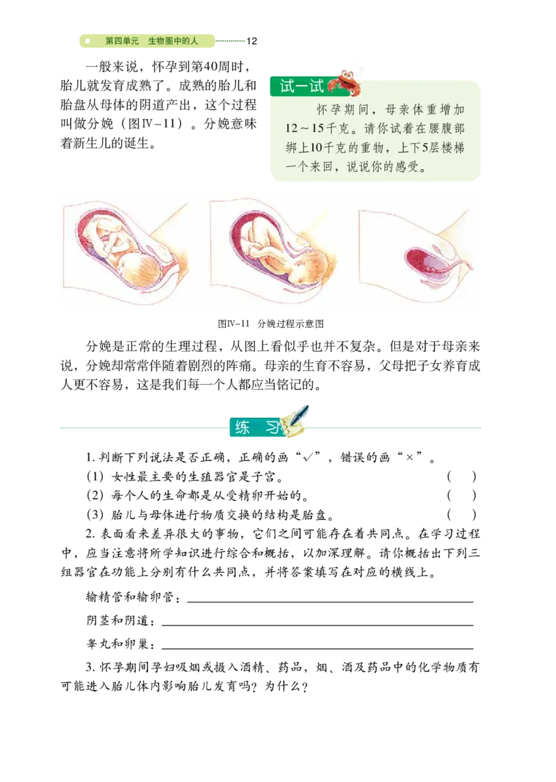 鲁教版7年级生物上册高清教材_4-教培资料-26年最新资料-同步更新_初中高中教资_03科三专项（进去保存报考的学科即可）_02科三专项（笔记真题思维导图教学设计版本二）