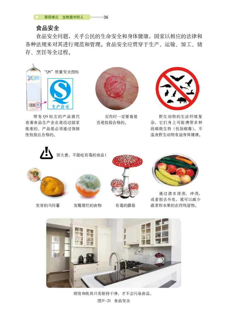 鲁教版7年级生物上册高清教材_4-教培资料-26年最新资料-同步更新_初中高中教资_03科三专项（进去保存报考的学科即可）_02科三专项（笔记真题思维导图教学设计版本二）