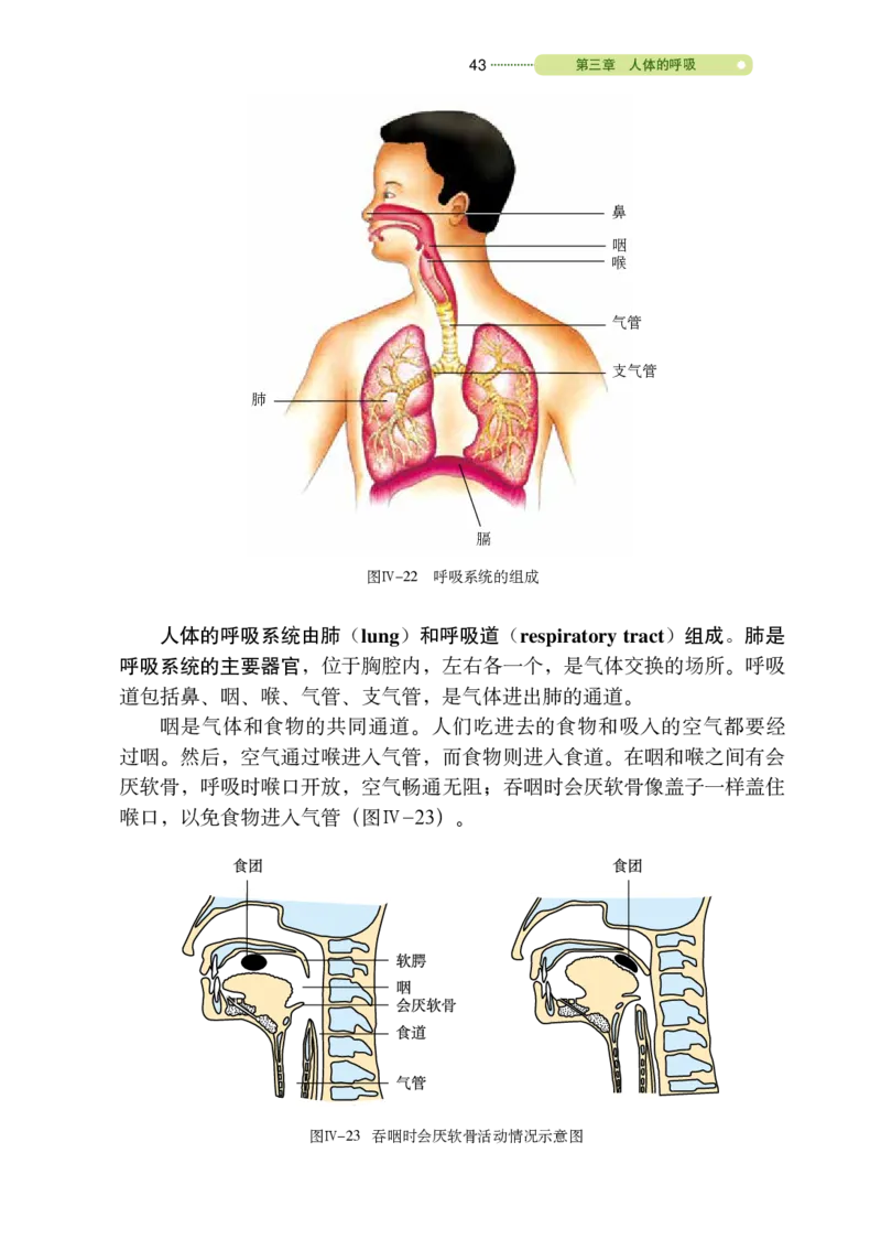 鲁教版7年级生物上册高清教材_4-教培资料-26年最新资料-同步更新_初中高中教资_03科三专项（进去保存报考的学科即可）_02科三专项（笔记真题思维导图教学设计版本二）