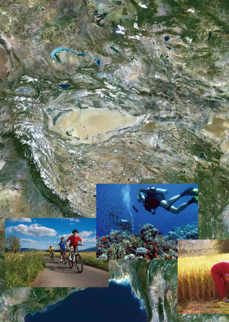 鲁教版7年级生物上册高清教材_4-教培资料-26年最新资料-同步更新_初中高中教资_03科三专项（进去保存报考的学科即可）_02科三专项（笔记真题思维导图教学设计版本二）