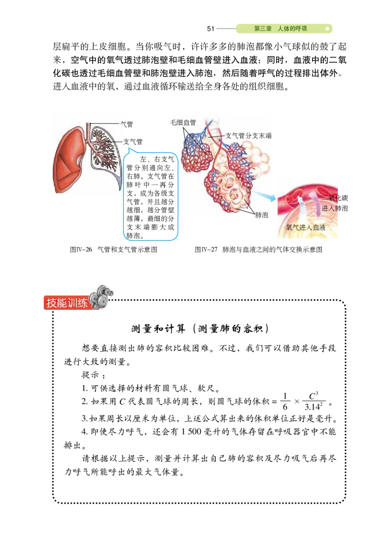 鲁教版7年级生物上册高清教材_4-教培资料-26年最新资料-同步更新_初中高中教资_03科三专项（进去保存报考的学科即可）_02科三专项（笔记真题思维导图教学设计版本二）