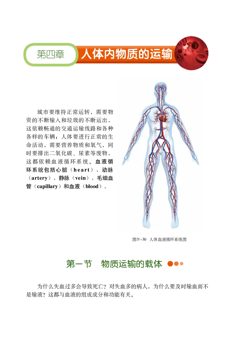 鲁教版7年级生物上册高清教材_4-教培资料-26年最新资料-同步更新_初中高中教资_03科三专项（进去保存报考的学科即可）_02科三专项（笔记真题思维导图教学设计版本二）
