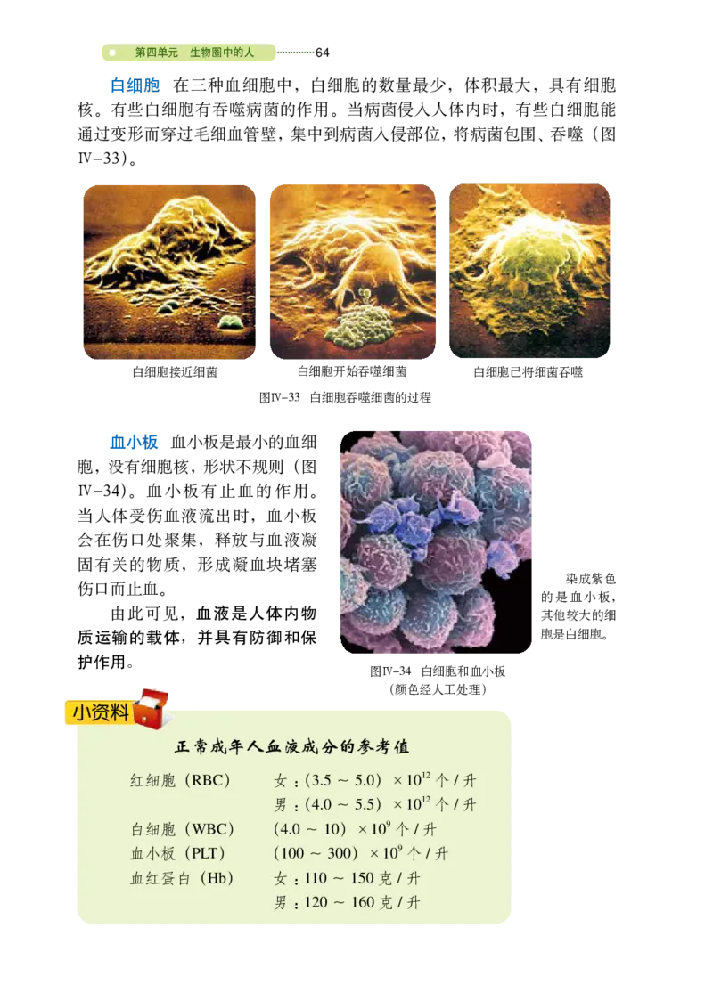 鲁教版7年级生物上册高清教材_4-教培资料-26年最新资料-同步更新_初中高中教资_03科三专项（进去保存报考的学科即可）_02科三专项（笔记真题思维导图教学设计版本二）