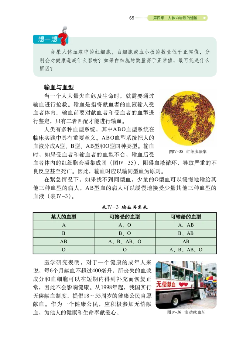 鲁教版7年级生物上册高清教材_4-教培资料-26年最新资料-同步更新_初中高中教资_03科三专项（进去保存报考的学科即可）_02科三专项（笔记真题思维导图教学设计版本二）