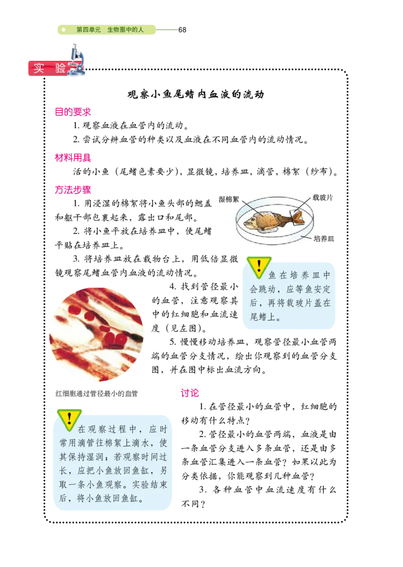 鲁教版7年级生物上册高清教材_4-教培资料-26年最新资料-同步更新_初中高中教资_03科三专项（进去保存报考的学科即可）_02科三专项（笔记真题思维导图教学设计版本二）