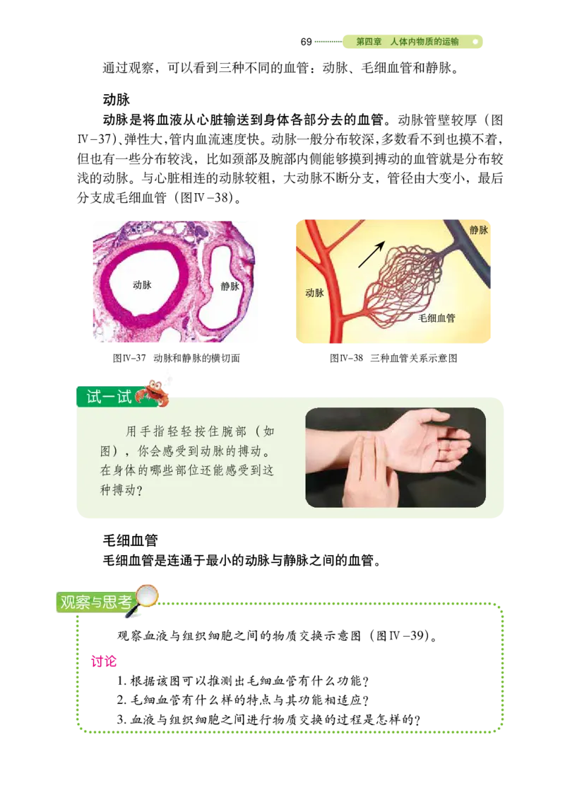 鲁教版7年级生物上册高清教材_4-教培资料-26年最新资料-同步更新_初中高中教资_03科三专项（进去保存报考的学科即可）_02科三专项（笔记真题思维导图教学设计版本二）