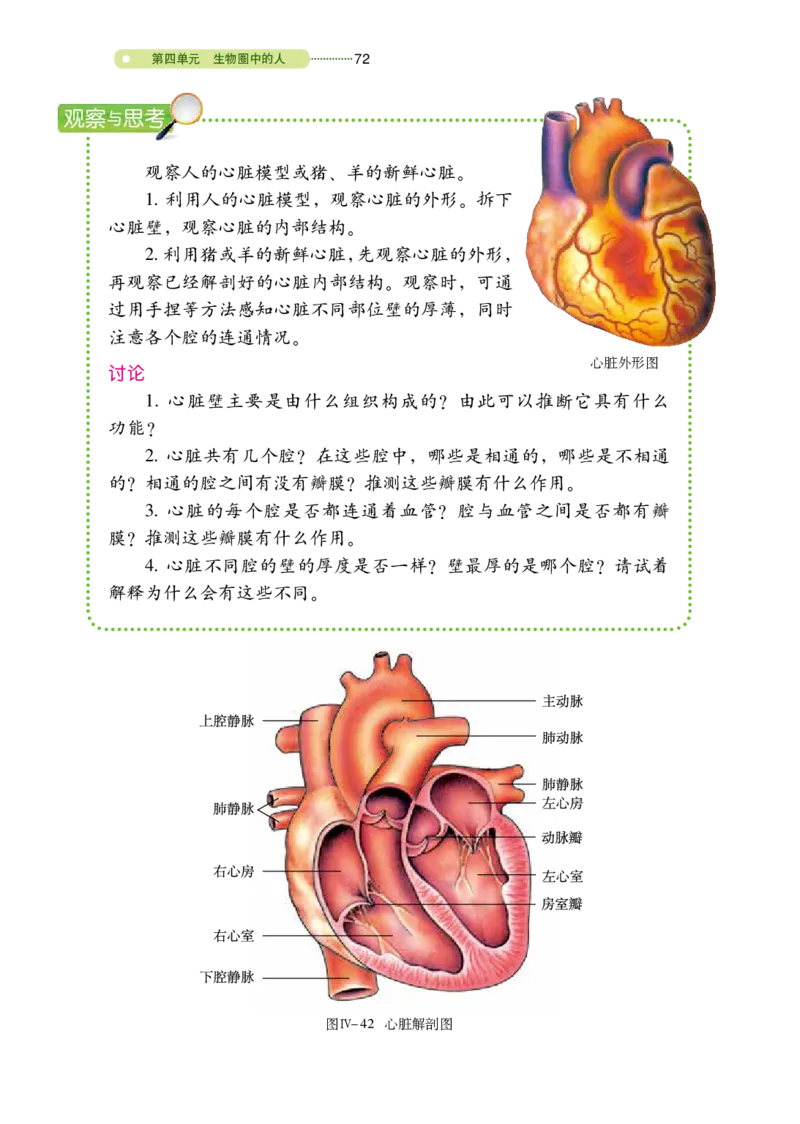 鲁教版7年级生物上册高清教材_4-教培资料-26年最新资料-同步更新_初中高中教资_03科三专项（进去保存报考的学科即可）_02科三专项（笔记真题思维导图教学设计版本二）
