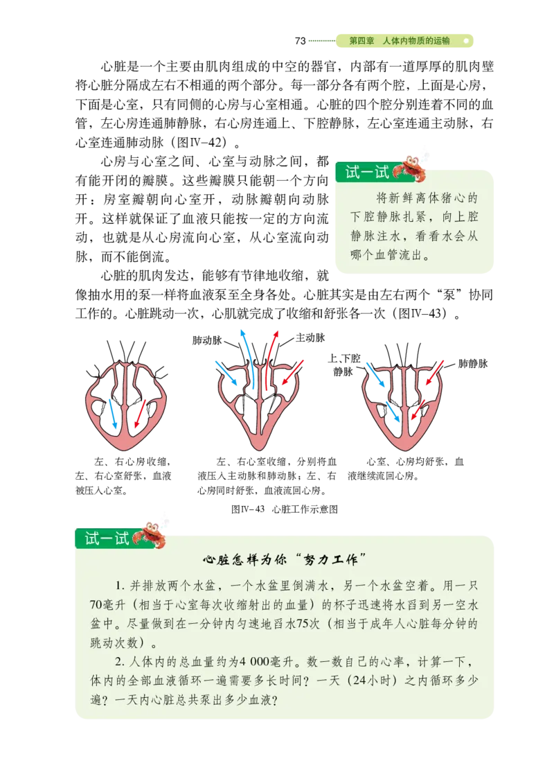 鲁教版7年级生物上册高清教材_4-教培资料-26年最新资料-同步更新_初中高中教资_03科三专项（进去保存报考的学科即可）_02科三专项（笔记真题思维导图教学设计版本二）