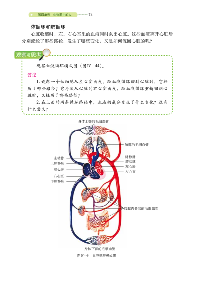 鲁教版7年级生物上册高清教材_4-教培资料-26年最新资料-同步更新_初中高中教资_03科三专项（进去保存报考的学科即可）_02科三专项（笔记真题思维导图教学设计版本二）