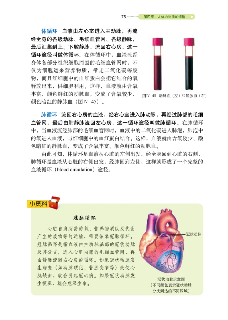 鲁教版7年级生物上册高清教材_4-教培资料-26年最新资料-同步更新_初中高中教资_03科三专项（进去保存报考的学科即可）_02科三专项（笔记真题思维导图教学设计版本二）