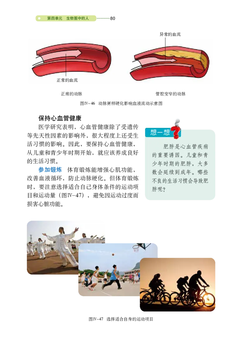 鲁教版7年级生物上册高清教材_4-教培资料-26年最新资料-同步更新_初中高中教资_03科三专项（进去保存报考的学科即可）_02科三专项（笔记真题思维导图教学设计版本二）