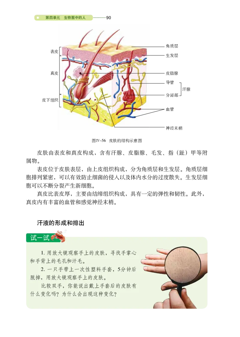 鲁教版7年级生物上册高清教材_4-教培资料-26年最新资料-同步更新_初中高中教资_03科三专项（进去保存报考的学科即可）_02科三专项（笔记真题思维导图教学设计版本二）