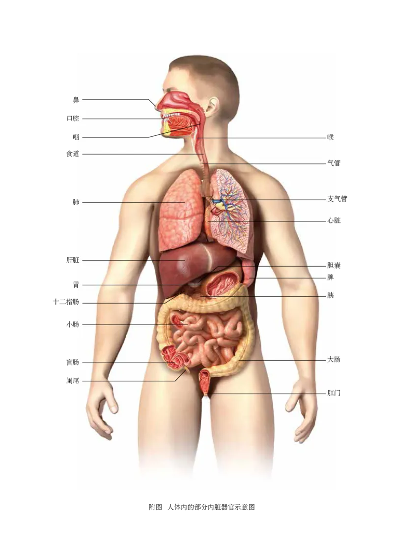 鲁教版7年级生物上册高清教材_4-教培资料-26年最新资料-同步更新_初中高中教资_03科三专项（进去保存报考的学科即可）_02科三专项（笔记真题思维导图教学设计版本二）