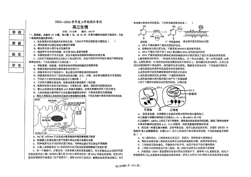 辽宁省鞍山市普通高中2023-2024学年高三上学期期末联考生物试题_2024届辽宁省鞍山市普通高中高三上学期期末联考_辽宁省鞍山市普通高中2024届高三上学期期末联考生物