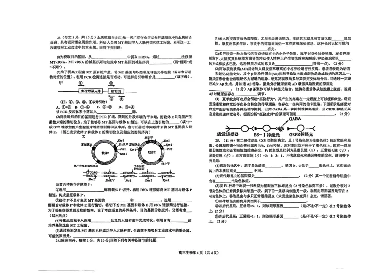 辽宁省鞍山市普通高中2023-2024学年高三上学期期末联考生物试题_2024届辽宁省鞍山市普通高中高三上学期期末联考_辽宁省鞍山市普通高中2024届高三上学期期末联考生物