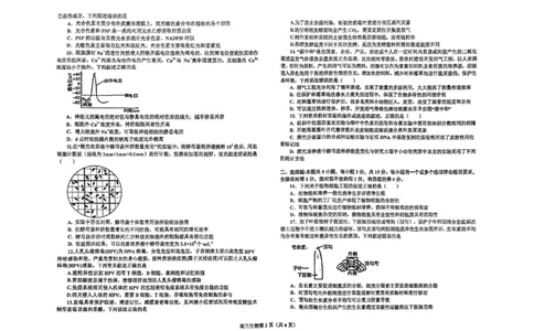 辽宁省鞍山市普通高中2023-2024学年高三上学期期末联考生物试题_2024届辽宁省鞍山市普通高中高三上学期期末联考_辽宁省鞍山市普通高中2024届高三上学期期末联考生物