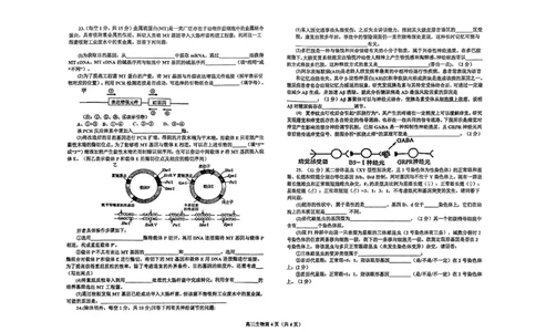 辽宁省鞍山市普通高中2023-2024学年高三上学期期末联考生物试题_2024届辽宁省鞍山市普通高中高三上学期期末联考_辽宁省鞍山市普通高中2024届高三上学期期末联考生物