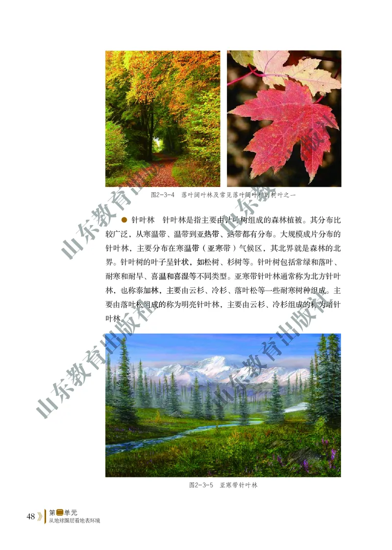 鲁教版高中地理必修1_4-教培资料-26年最新资料-同步更新_初中高中教资_03科三专项（进去保存报考的学科即可）_02科三专项（笔记真题思维导图教学设计版本二）