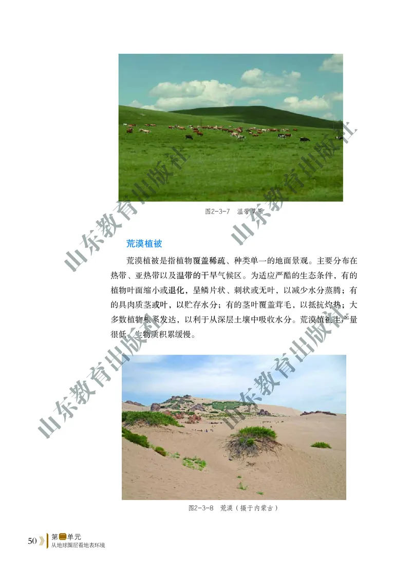 鲁教版高中地理必修1_4-教培资料-26年最新资料-同步更新_初中高中教资_03科三专项（进去保存报考的学科即可）_02科三专项（笔记真题思维导图教学设计版本二）