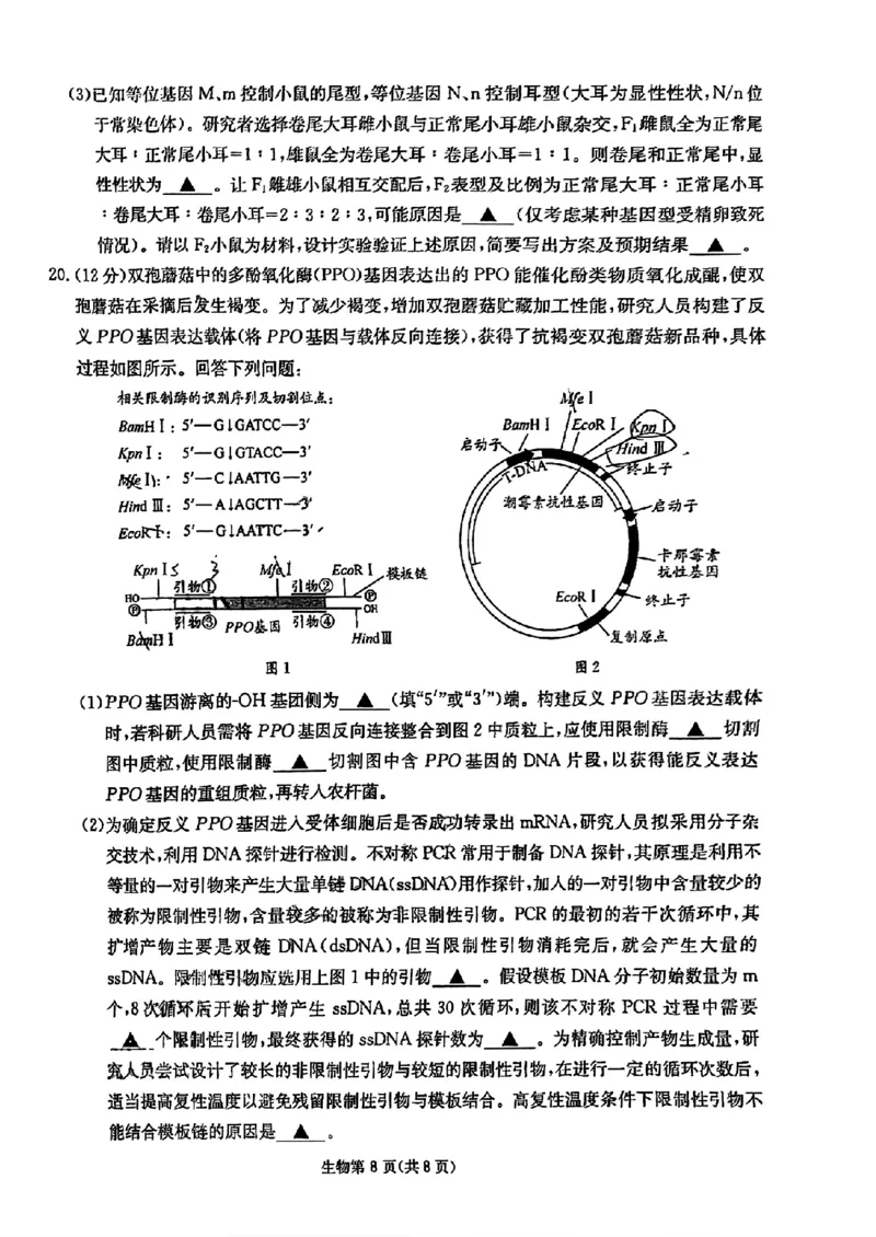 2025届四川省高三第二次教学质量联合测评生物试题_2025年5月_250514四川高三第二次教学质量联合测评