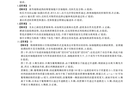 2025-2026学年鼎尖名校大联考生物(B)答案_2025年10月_251013安徽省鼎尖名校大联考2025-2026学年高三上学期10月月考（全科）