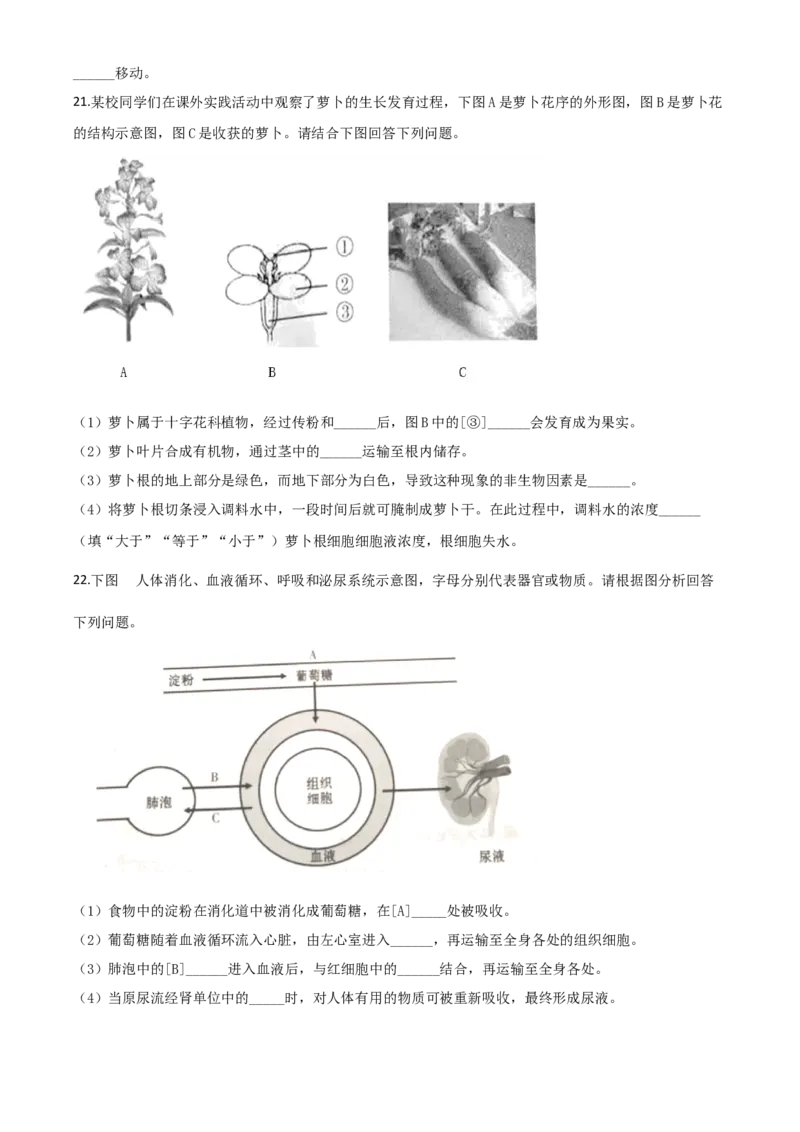 精品解析：甘肃省定西市2020年八年级中考生物试题（原卷版）_中考真题_8.生物中考真题2015-2024年_2020生物真题74份_2020年中考真题精品解析生物（甘肃定西卷）精编word版
