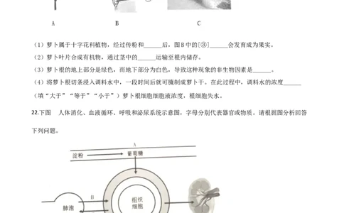 精品解析：甘肃省定西市2020年八年级中考生物试题（原卷版）_中考真题_8.生物中考真题2015-2024年_2020生物真题74份_2020年中考真题精品解析生物（甘肃定西卷）精编word版