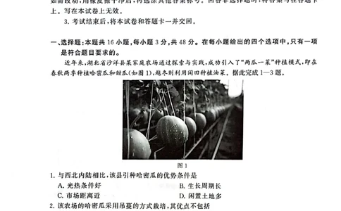 2025届高三部分重点中学3月联合测评(T8联考)地理试卷（河南版，含答案）_2025年3月_2503282025届八省八校高三部分重点中学3月联合测评（T8联考）（全科）