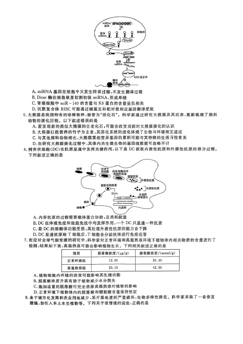 2025届河南天一大联考高三3月联考生物试题（含答案）_2025年3月_2503262025届河南天一大联考高三3月联考（安阳、鹤壁、焦作、濮阳高三第二次模拟考试）（全科）