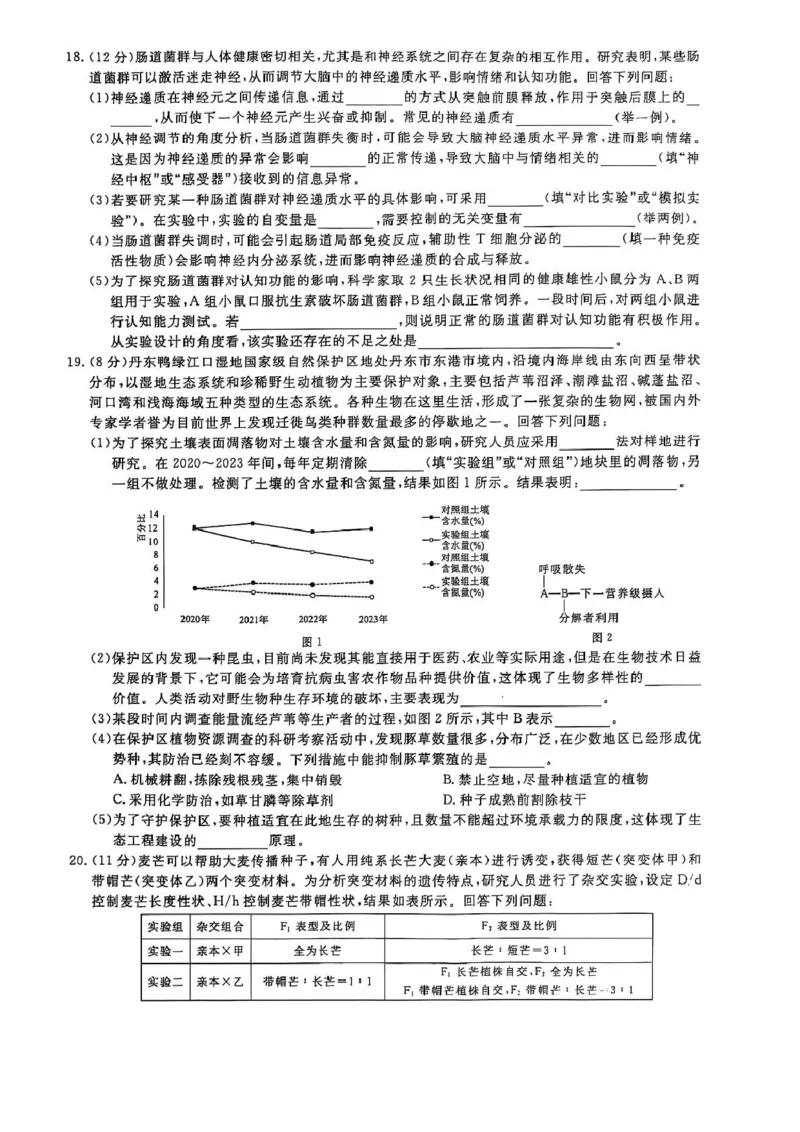 2025届河南天一大联考高三3月联考生物试题（含答案）_2025年3月_2503262025届河南天一大联考高三3月联考（安阳、鹤壁、焦作、濮阳高三第二次模拟考试）（全科）