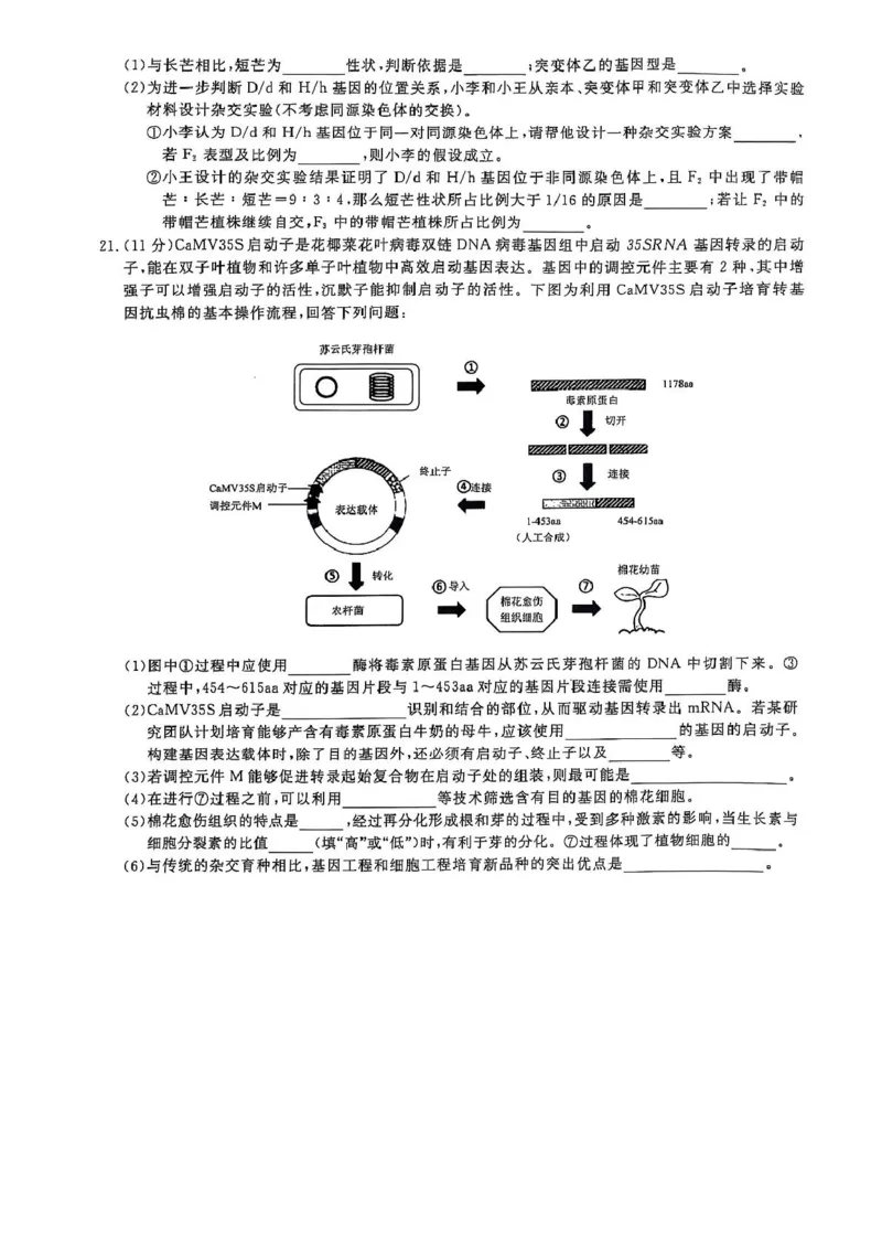 2025届河南天一大联考高三3月联考生物试题（含答案）_2025年3月_2503262025届河南天一大联考高三3月联考（安阳、鹤壁、焦作、濮阳高三第二次模拟考试）（全科）