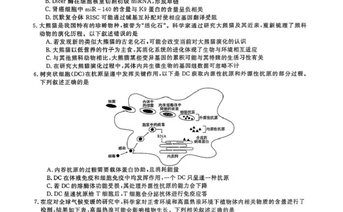 2025届河南天一大联考高三3月联考生物试题（含答案）_2025年3月_2503262025届河南天一大联考高三3月联考（安阳、鹤壁、焦作、濮阳高三第二次模拟考试）（全科）