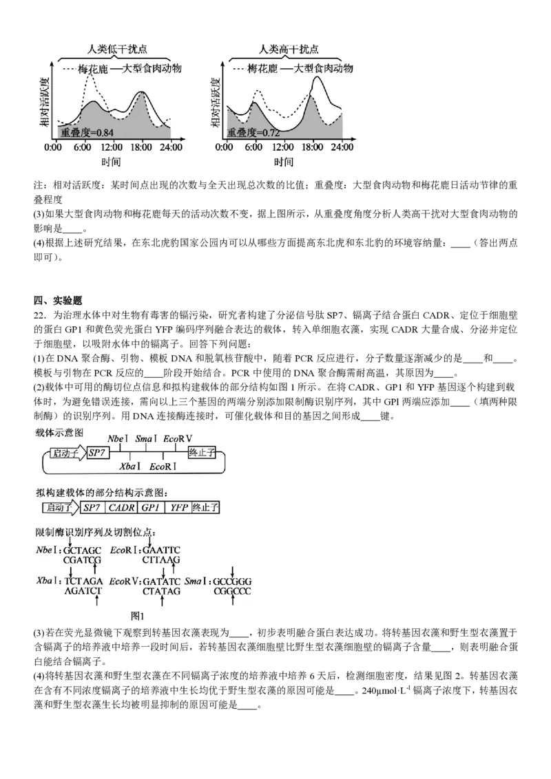 河北生物-试题_1.高考2025全国各省真题+答案_00.2025各省市高考真题及答案（按省份分类）_9、河北卷（全科，持续更新）_6.生物